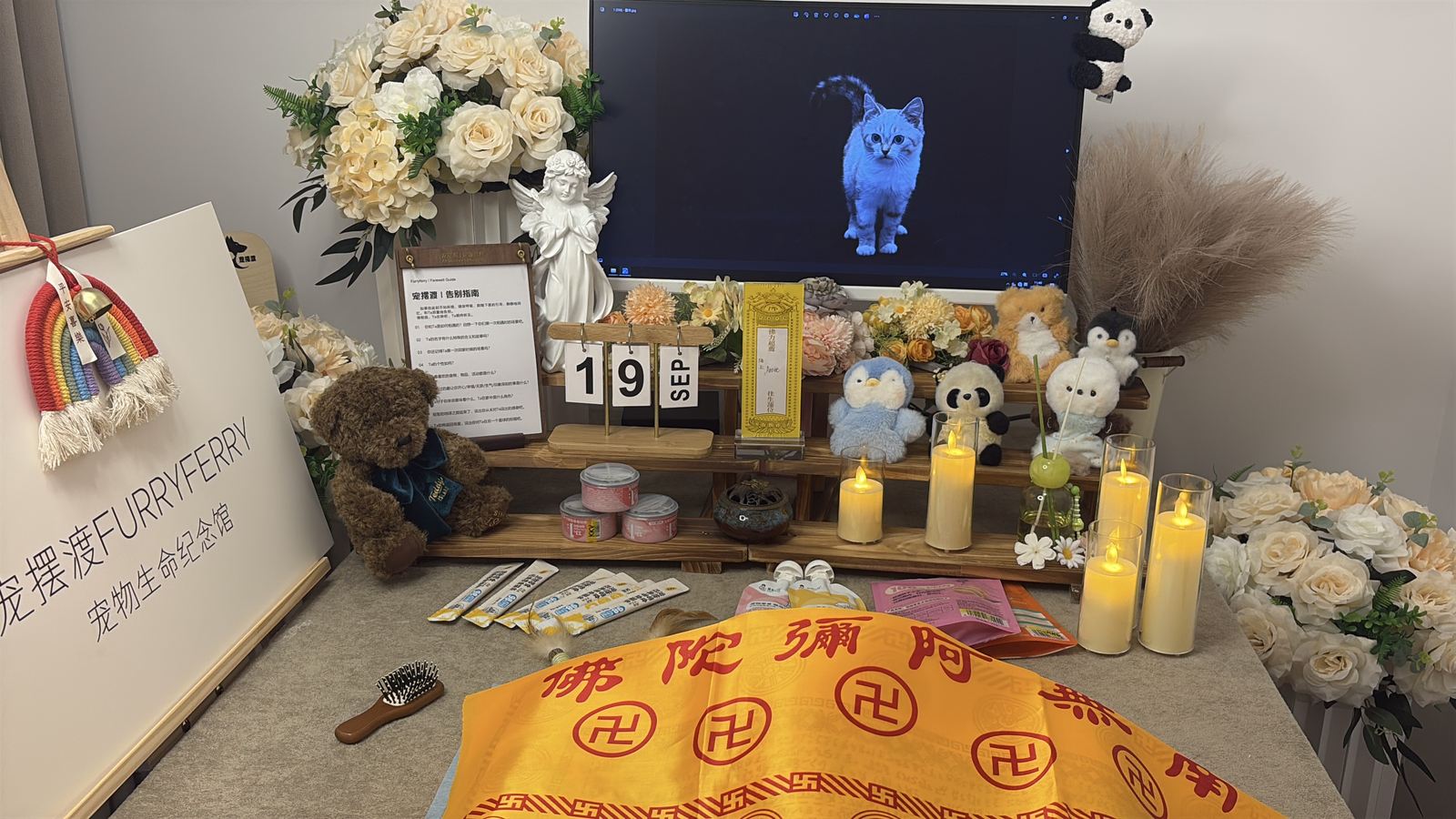 宠物告别仪式空间